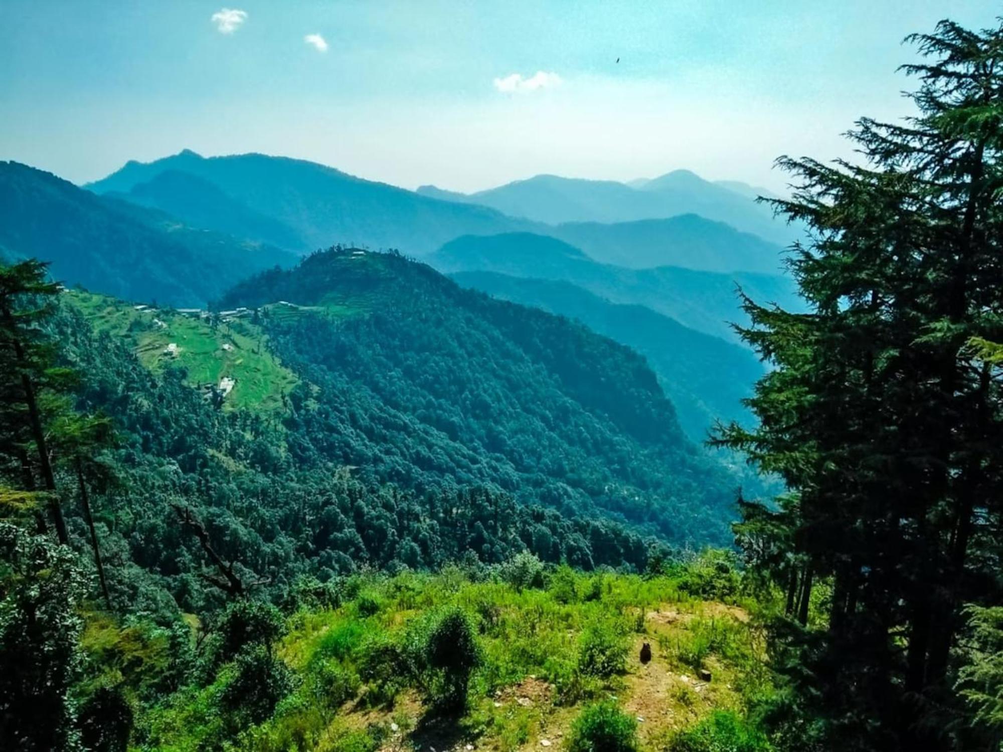 La Riqueza Dhanolti View # Near To Eco Park & Surkanda Devi Temple # Mountain View Rooms With Balcony # Big Parking # Customer Favourite Hotel Данаулти Екстериор снимка